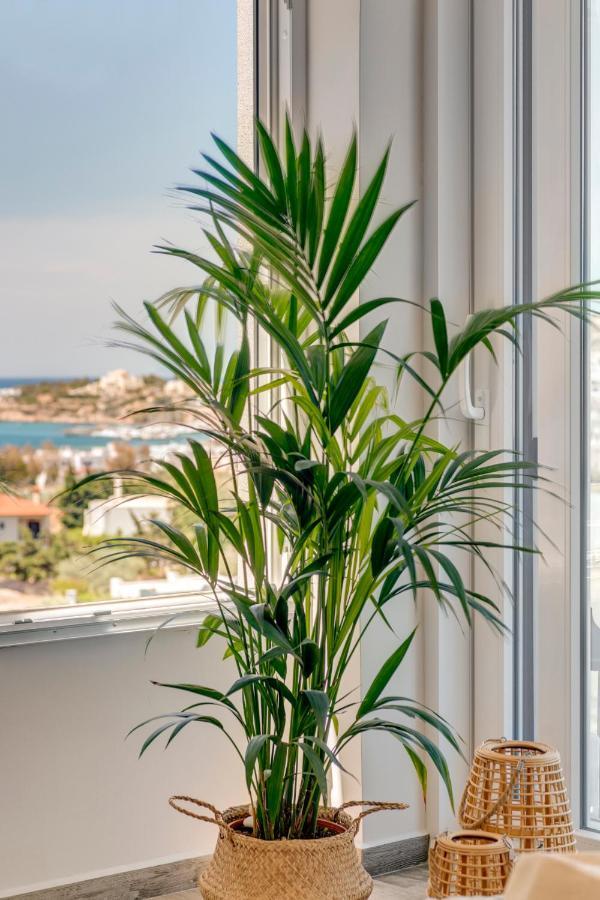 Villa Mare Syros Finikas  Exterior photo